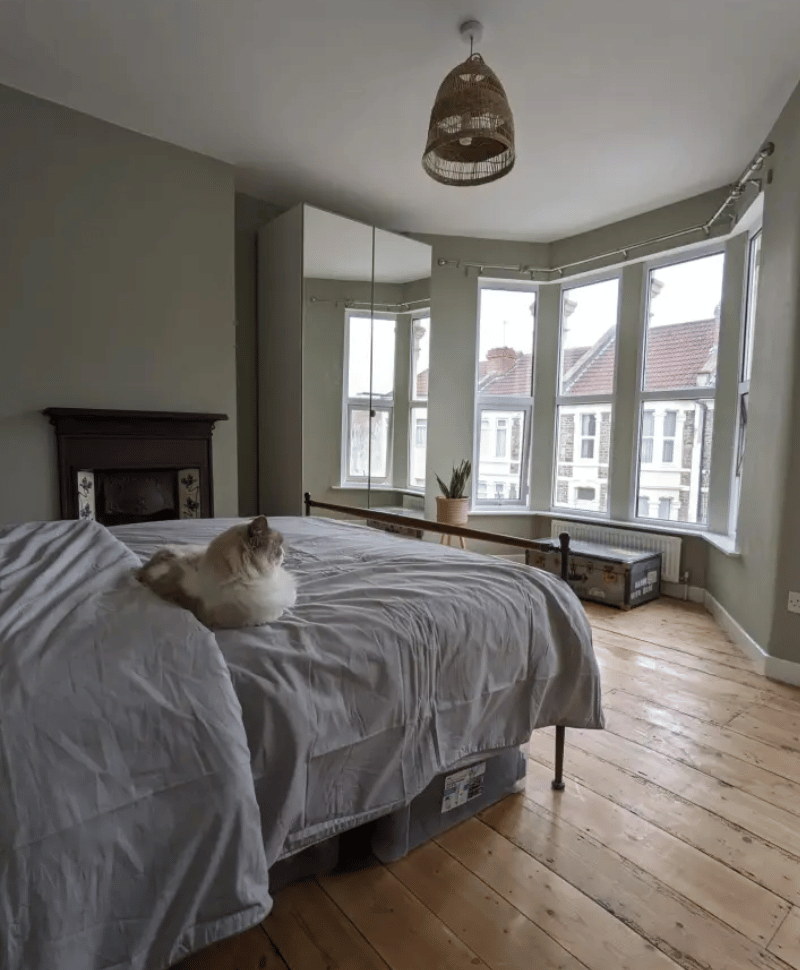 Bristles of bristol painter cat on a bed